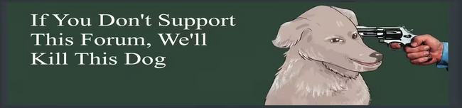 [Image: supportHF.png]